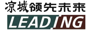 涼城縣領(lǐng)先未來(lái)電子商務(wù)有限公司 涼城縣領(lǐng)先未來(lái)電子商務(wù)有限公司